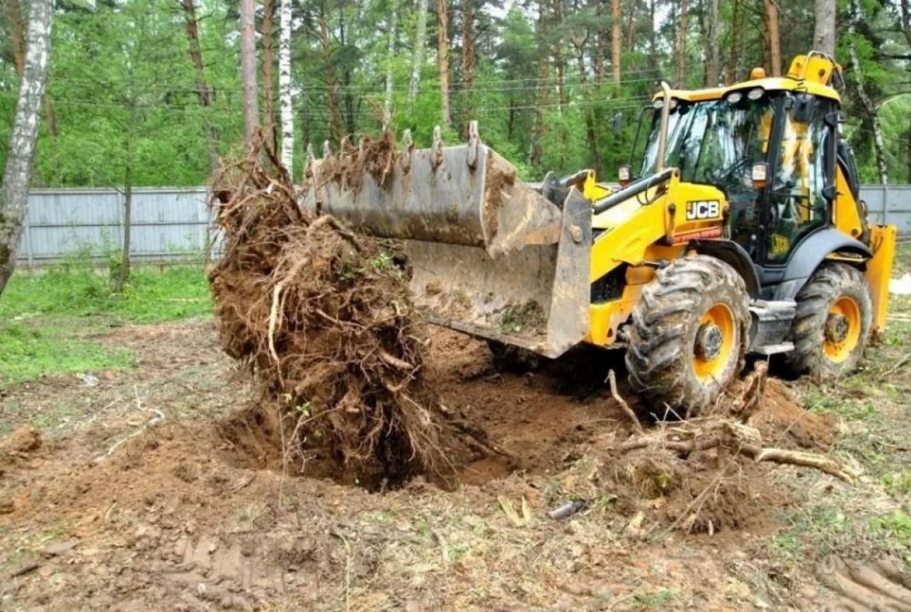 Удаление пней и корчевание вручную и со спецтехникой стоимость услуг и где заказать - Астрахань
